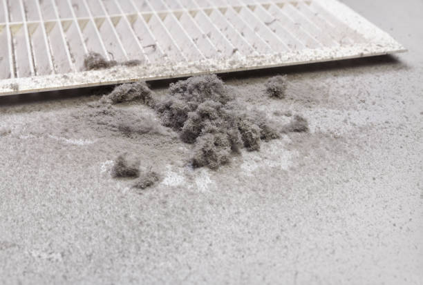 Best Local Air Duct Cleaning Services  in Holmes Beach, FL